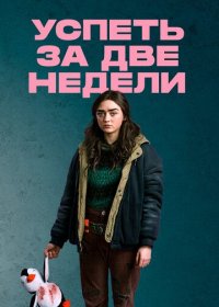 Успеть за две недели (1 сезон)