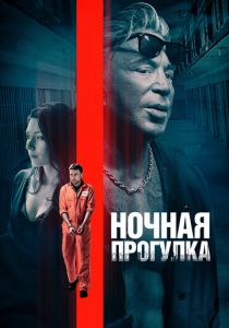 Ночная прогулка (2019)